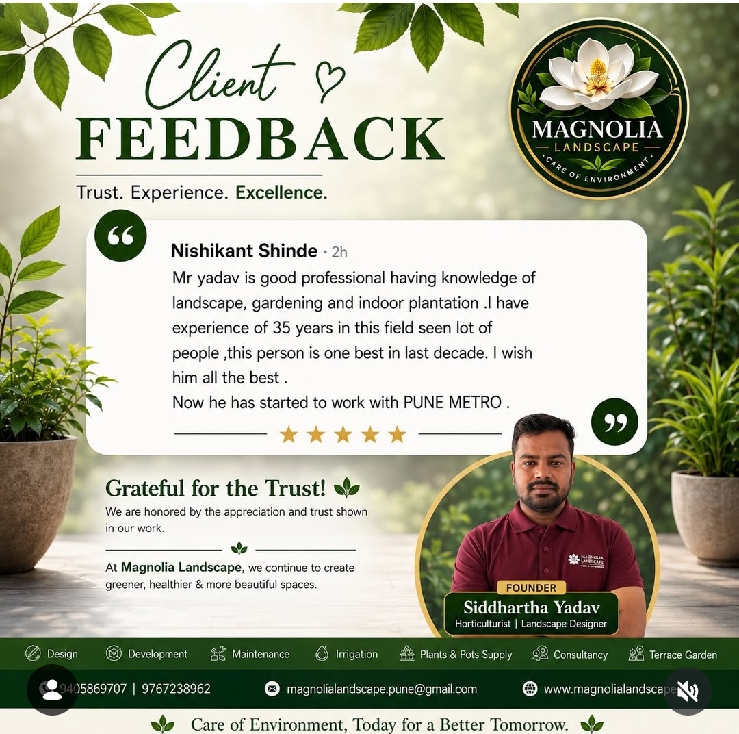 Client feedback for Magnolia Landscape