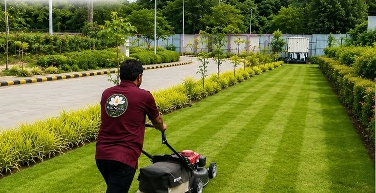 Monsoon Lawn Care: A Maintenance Checklist