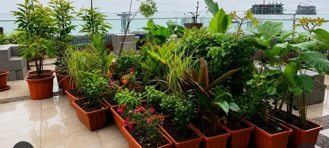 Terrace garden landscaping by Magnolia Landscape in Pune