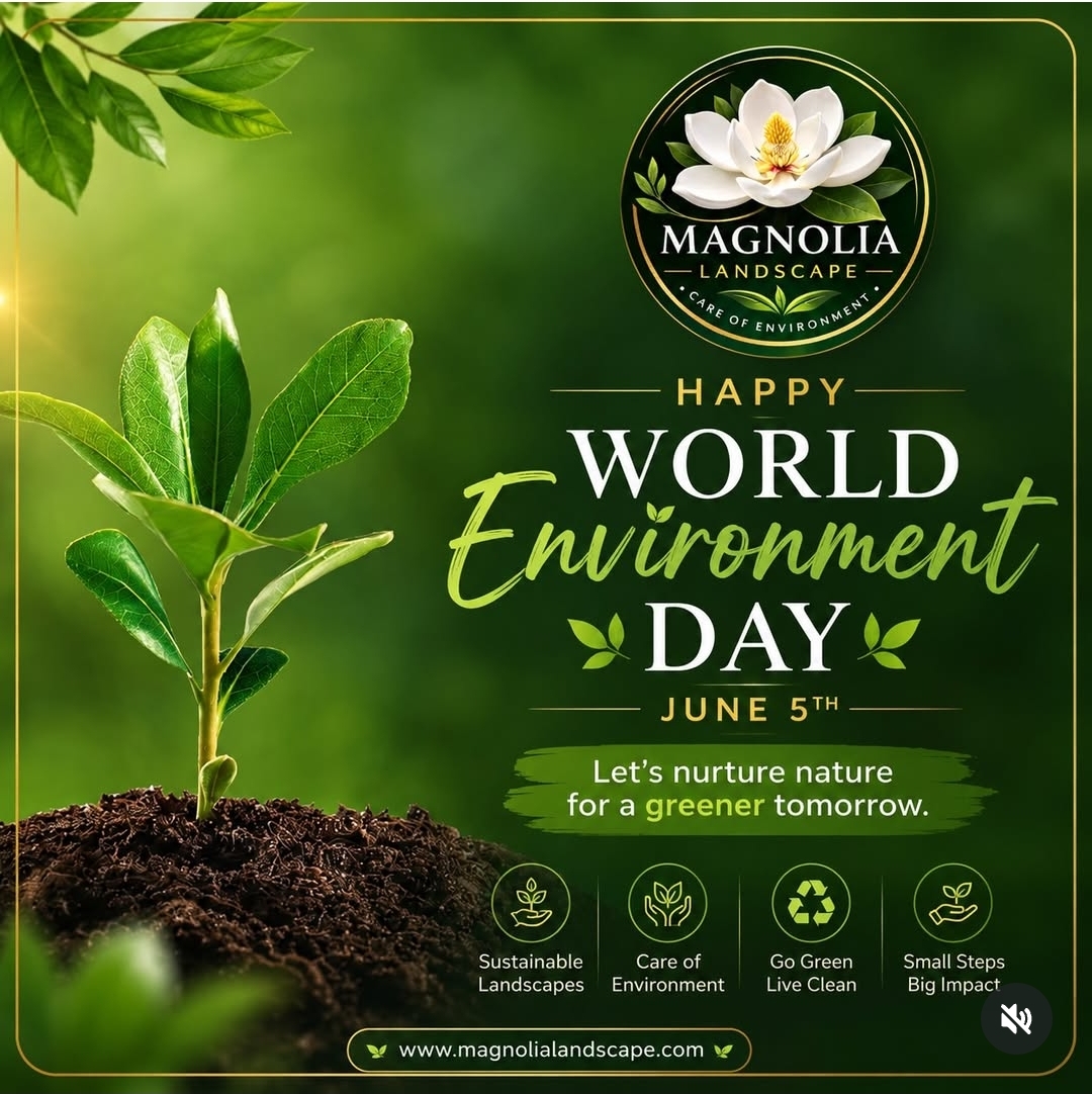 World Environment Day campaign by Magnolia Landscape